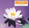 Eveil - relaxation créative , cd audio