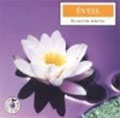 Eveil - relaxation créative , cd audio Eveil - relaxation créative , cd audio