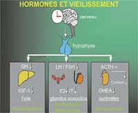 Santé et Prévention personnalisée, Santé et vieillisement