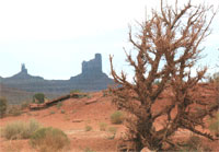 Cancer: Incertitudes et solitude du patient face au cancer Cancer: Incertitudes et solitude du patient face au cancer