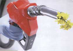 Les dérapages du biocarburant
