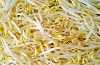 Cancer de la prostate: Soja, sélénium, ginkgo et vitamines Cancer de la prostate: Soja, sélénium, ginkgo et vitamines