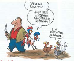 Acides gras : essentiels à notre santé Acides gras : essentiels à notre santé