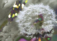 De la Déprime à la Dépression De la Déprime à la Dépression