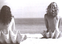 Jouets Sexuels et Sex Toys: Rôle de l'Objet dans la Sexualité Jouets Sexuels et Sex Toys: Rôle de l'Objet dans la Sexualité