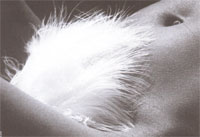 Sexualité féminine: Le mystère du point G et de l'orgasme féminin Sexualité féminine: Le mystère du point G et de l'orgasme féminin