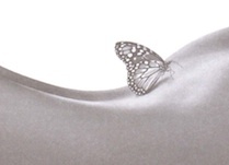 Revue Sexualités Humaines: Les Cycles du Désir Sexuel Revue Sexualités Humaines: Les Cycles du Désir Sexuel