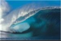 VII ème Forum de la Confédération Francophone Hypnose & de Thérapies Brèves VII ème Forum de la Confédération Francophone Hypnose & de Thérapies Brèves