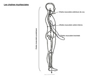 La méthode Mézières. Kinésithérapie Mézièriste