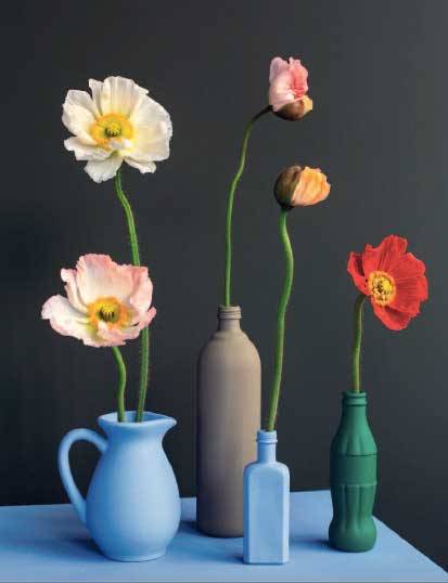 Hypnose et soins palliatifs. Hypnose et soins palliatifs.