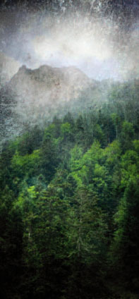 De l'hypnose en soins palliatifs, à la douleur chronique aux douleurs d'amputation. De l'hypnose en soins palliatifs, à la douleur chronique aux douleurs d'amputation.