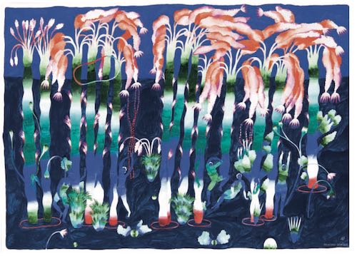 CHRISTELLE et la trichotillomanie en question. CHRISTELLE et la trichotillomanie en question.