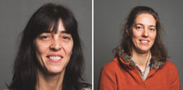 Hypnose et Douleur, Florent HAMON pour la Revue Hypnose et Thérapies Brèves Hypnose et Douleur, Florent HAMON pour la Revue Hypnose et Thérapies Brèves