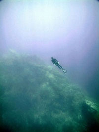 L'Interview de Philippe Dryburgh, coach sportif L'Interview de Philippe Dryburgh, coach sportif