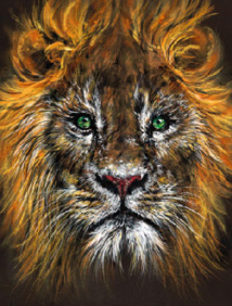 De l'hypnose en soins palliatifs, à la douleur chronique aux douleurs d'amputation. De l'hypnose en soins palliatifs, à la douleur chronique aux douleurs d'amputation.