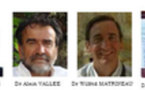 Hypnose, Thérapies Stratégiques, Mouvements Alternatifs: Formation HTSMA, Formateurs HTSMA