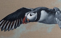 Marie ou l'accompagnement d'une patiente lors d'un traitement de cancer. Revue Hypnose et Thérapies Brèves n°78.